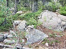 photo thumbnail #15