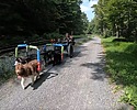 photo thumbnail #4
