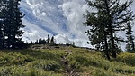photo thumbnail #2
