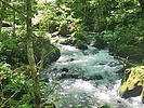 photo thumbnail #3