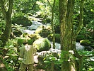 photo of comment
