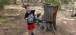photo of comment
