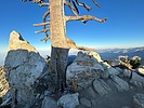 photo thumbnail #11