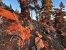 photo thumbnail #7
