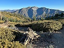 photo thumbnail #15