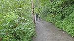 photo of comment
