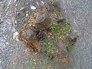 photo thumbnail #15