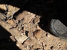 photo thumbnail #12