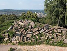 photo of comment