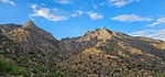 photo thumbnail #3