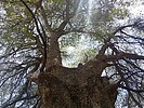 photo of comment