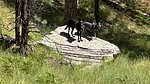 photo thumbnail #5