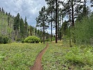 photo thumbnail #9
