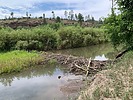 photo of comment