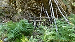 photo thumbnail #10