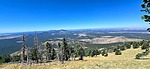 photo of comment