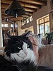 photo thumbnail #14