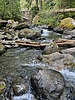 photo thumbnail #12