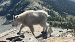 photo of comment