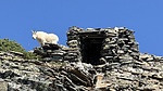 photo thumbnail #10