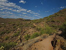 photo thumbnail #13