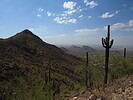 photo thumbnail #15