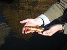 photo thumbnail #5