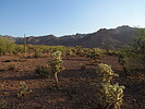 photo thumbnail #1