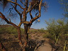 photo thumbnail #4