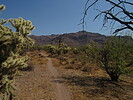 photo thumbnail #9