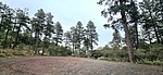 photo thumbnail #8