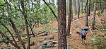 photo thumbnail #3