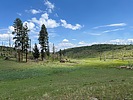 photo thumbnail #7