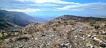 photo thumbnail #2