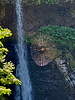 photo of comment