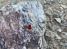 photo thumbnail #6