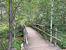 photo of comment