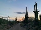 photo thumbnail #8