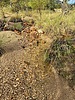 Featured Detail Photo