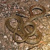2025-08-30 :2: Hawes Trail System :: gummo