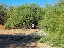 photo of comment
