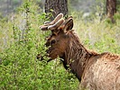 2025-05-31 :3: Upper Frijolis Canyon Overlook Trail :: outdoor_lover