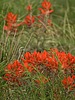2025-05-31 :3: Burnt Mesa :: outdoor_lover