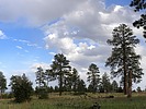 photo thumbnail #13