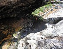photo thumbnail #15