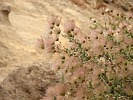 2025-06-02 :3: Tent Rocks Canyon Cave Loop :: outdoor_lover