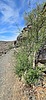 2025-09-01 :1: Telegraph - Prospector Lasso Loop :: joebartels