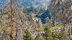 photo of comment