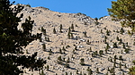 photo thumbnail #15