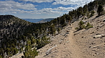 photo of comment